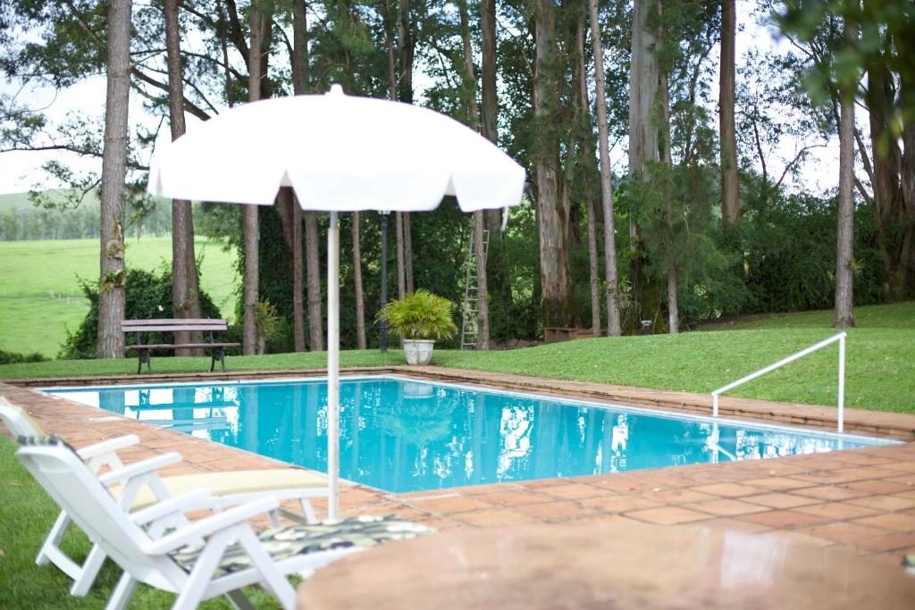 Piscina cercada de eucaliptos e gramado